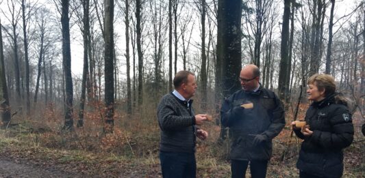 Borgmester Kolding